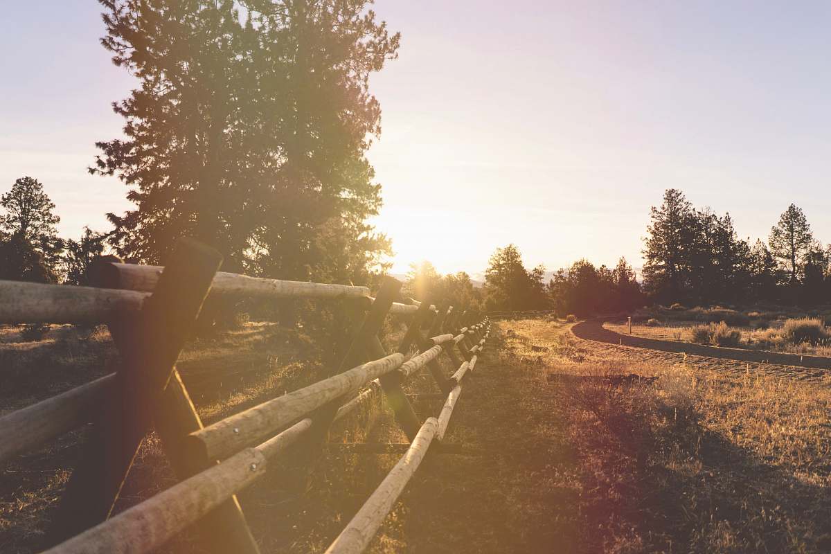 bend brown wooden fence near green trees dirt road